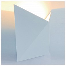 Накладной светильник arte lamp busta a1609ap-1wh